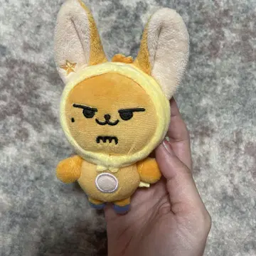 판춘 키링 초기