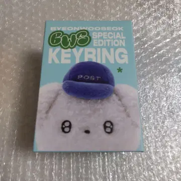 변우석 SPECIAL EDITION BWS KEYRING