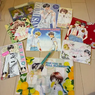 아름다운 그대에게 하나토유메 부록