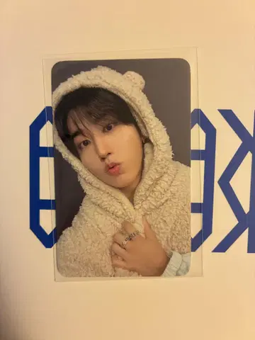 straykids 스키즈 KARMA 리스펙트 FANS 트레이딩 카드 한
