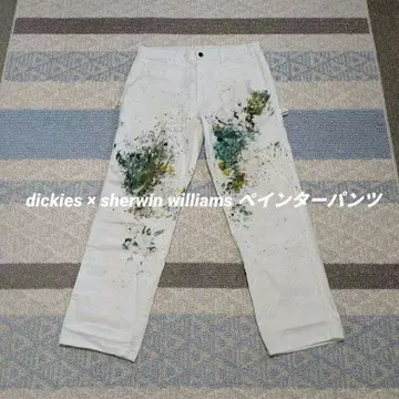 dickies x sherwin williams 페인터 팬츠