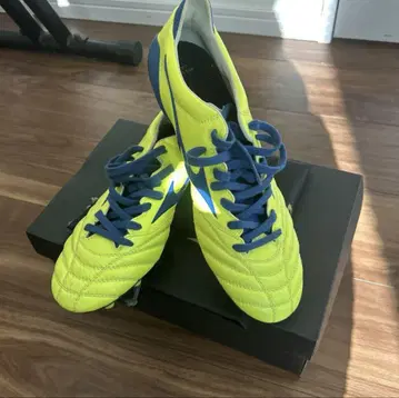 MORELIA NEO2