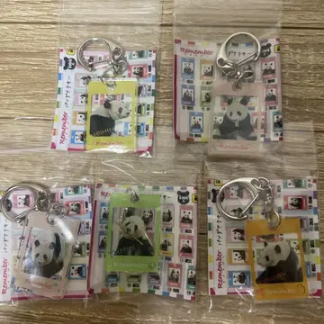 어드벤처 월드 팬더 가챠 키링 오마토메 리멤버