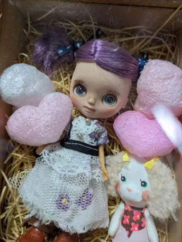 작가님 미니 브라이스 커스텀 & 미니 인형 + 의류와 신발 포함.