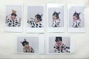 카스짱 폴라로이드