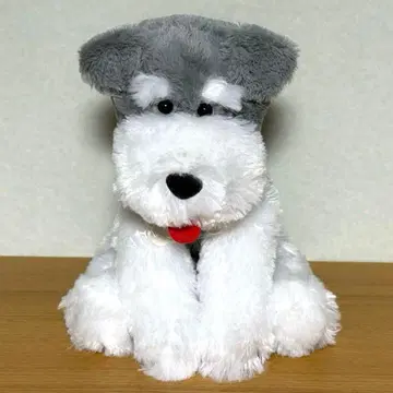 슈나와 밥 본 참 JB