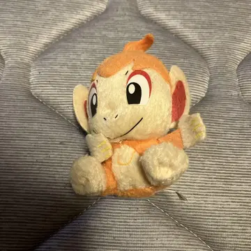 포켓몬 봉제 인형