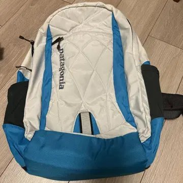 가격 인하 중! patagonia 백팩 2012년 모델