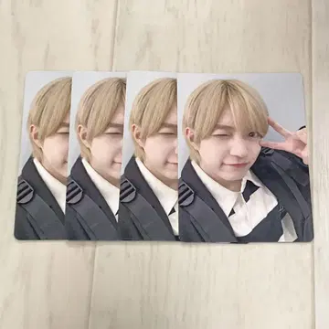 나니와단시 니시하타 다이고 트레이딩 카드 4장 세트