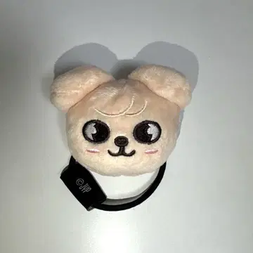 StrayKids 스키즈 PuppyM 승민