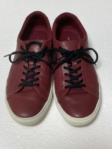 [ 새상품급 ] LACOSTE L.12.12 가죽 스니커즈