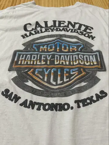 [ 빅 블루 엠블럼 ] Harley-Davidson T셔츠 화이트