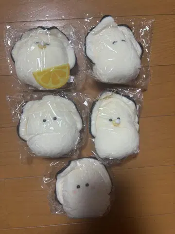 동글동글 눈망울의 일식집 꼬옥 껴안는 인형 생굴