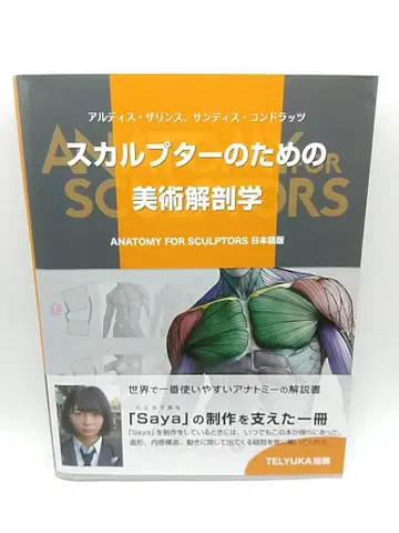 스컬프터를 위한 미술 해부학 데셍