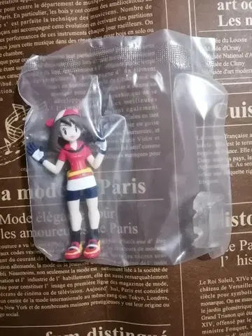 포켓몬 스케일 월드 호연 지방 2 하루카 RSver