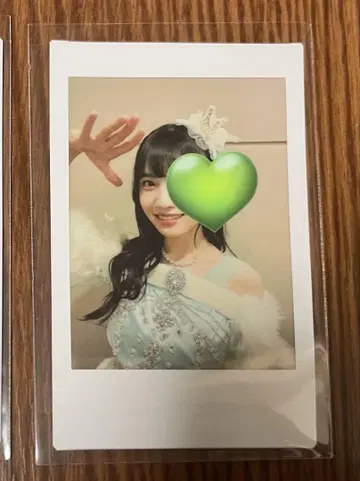 요시세 진주 폴라로이드