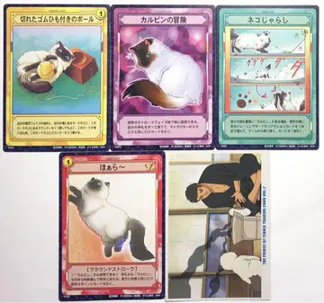 [ 테니스의 왕자님 ] 카르핀 방향치 등 트레이딩 카드 세트 TCG