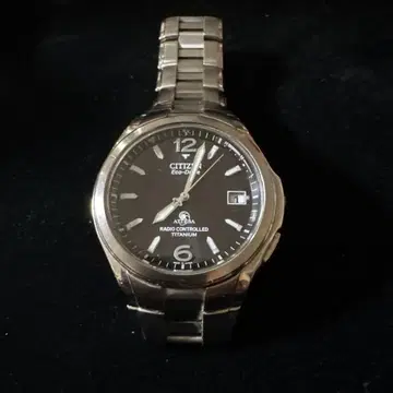 Citizen Eco-Drive 티타늄 손목시계 gn4ws