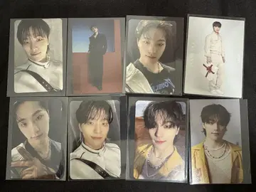SEVENTEEN 세부치 DINO 디노 트레이딩 카드