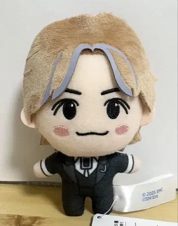 NCT CCOMAZ NATION 마스코트 봉제 인형 제민