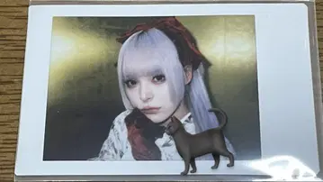 AVAM 츠키미노 아야 설날 랜덤 폴라로이드