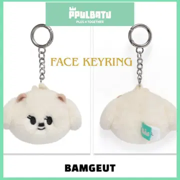 [ TXT PPULBATU ] 범규 BAMGEUT 페이스 키링