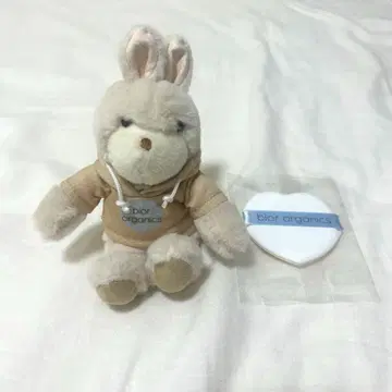 bior organics 라비 아쿠아 TravisJapan 마츠다 겐타