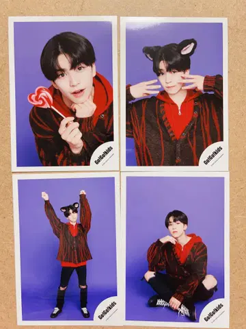 GoGokids 타나카 요세이 할로윈 그리폰