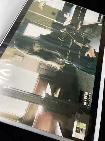 Aimer insane dream / us 타워 레코드ver B2 포스터