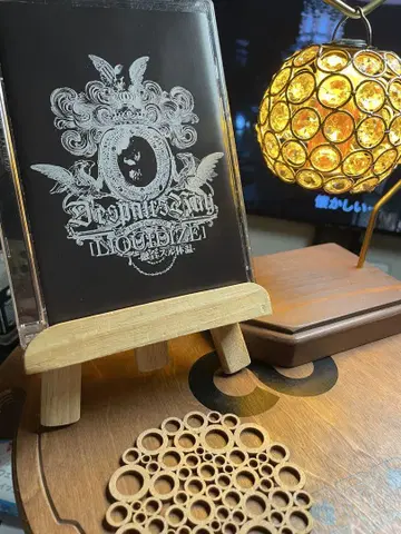 D'espairsRay LIQUIDIZE DVD V 비주얼계 단종