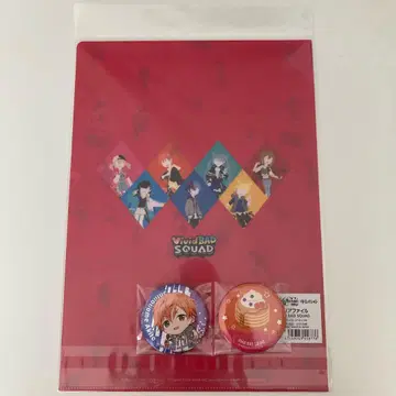 프로세카 비바 묶음 판매