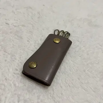일비종떼 키케이스