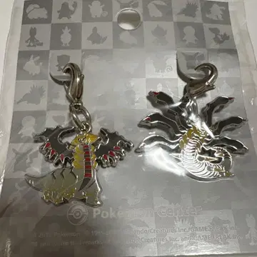 포켓몬 전국도감 메탈 참