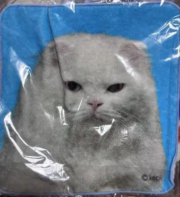 Royz 이기 호타테 핸드 타월