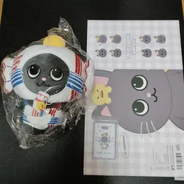 RIIZE 라이즈 riize 원빈 토냥독 중국 한정판