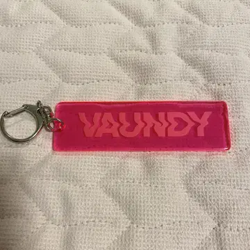 VAUNDY 아크릴 키링