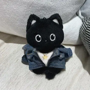 RIIZE 원빈 봉제 인형 10cm 검은 고양이