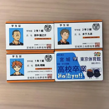 하이큐 버라이어티 카드 히나타 쇼요