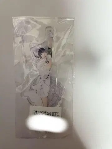타마야네 아크릴 스탠드 큐루링 해봐