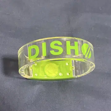 DISH// GARDEN 라이트 뱅글