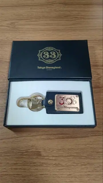 도쿄 디즈니랜드 35주년 기념 클럽 33 한정판 키링
