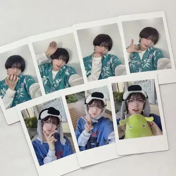 토라 나나크로니클 하피카