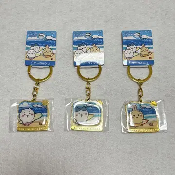 미야자키 한정판 치이카와 (먼작귀) 서핑