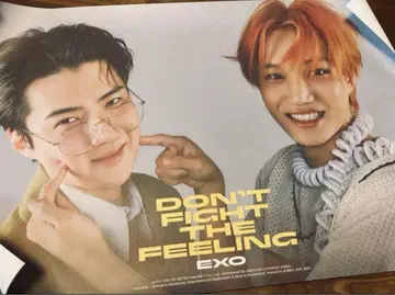 EXO 포스터 카이 KAI 세훈 A1 사이즈 미사용