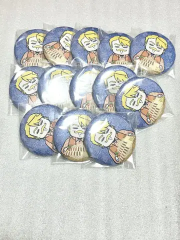 fgo 후지마루 리츠카는 모른다 나조마루 홀로 캔뱃지 세트 골도르후