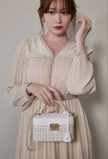 Her lip to Tweed Chain Vanity Bag