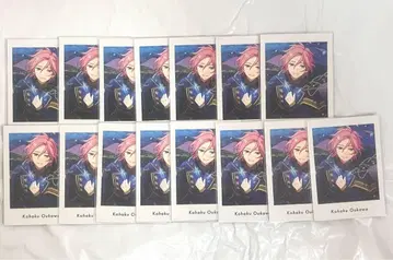 오우카와 코하쿠 파샤 15장 세트