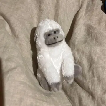 화이트 고릴라