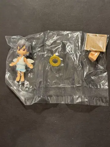 푸치에바 나기사 카오루 천사