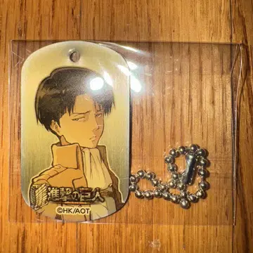 진격의 거인 메탈 택 키링 리바이